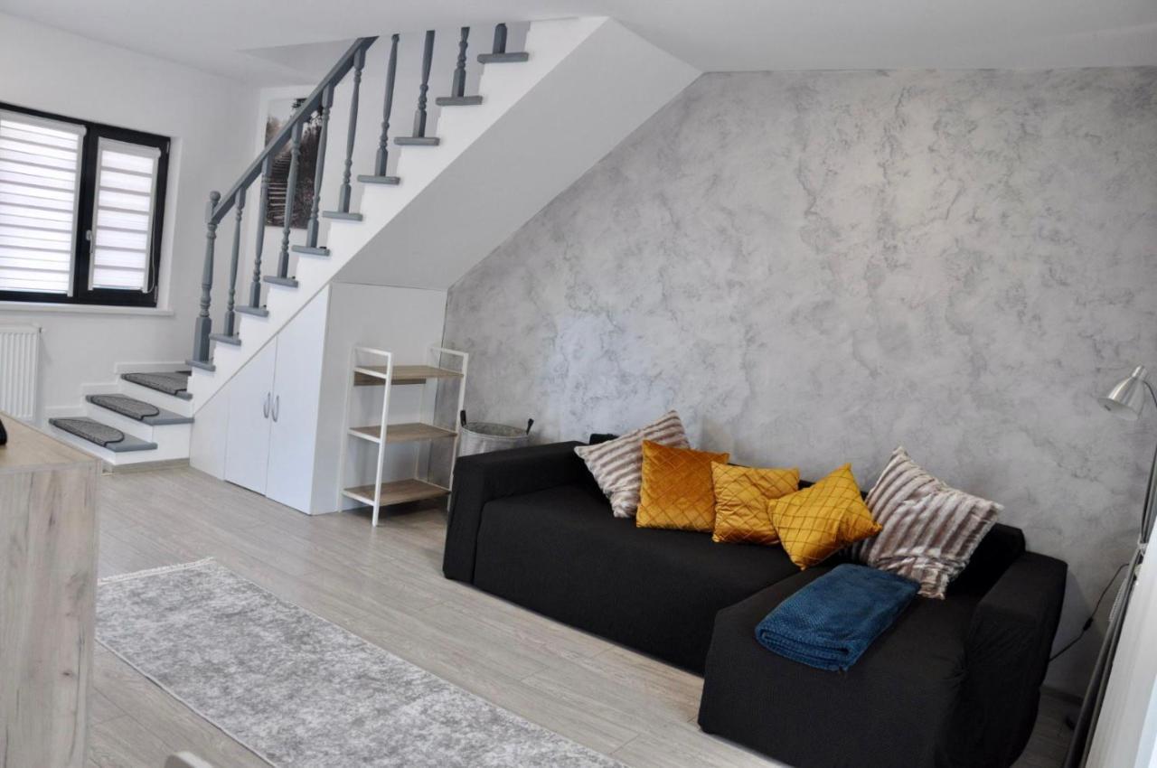 Ipotexas House I Villa Ipotesti  Екстериор снимка